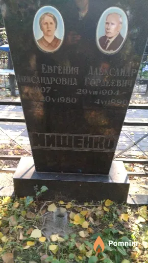 Мищенко Евгения Елесандровна