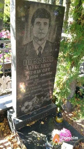 Шевель Александр Ефимович