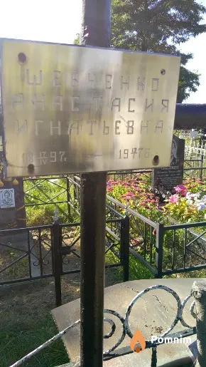 Шевченко Анастасия Игнатьевна