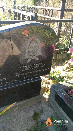 Шевель Феодосия Ивановна