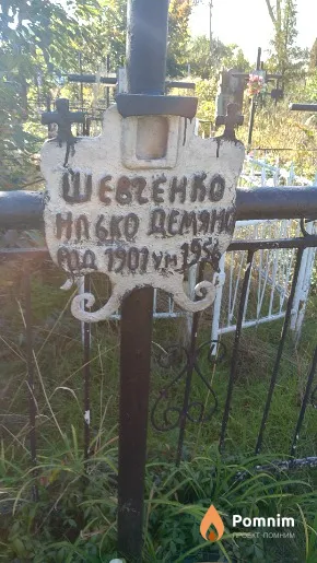 Шевченко Илько Дем'янович