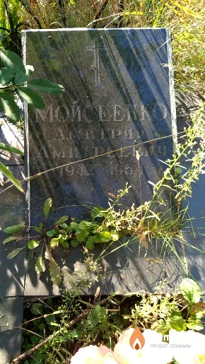 Моисеенко Дмитрий Дмитреевич