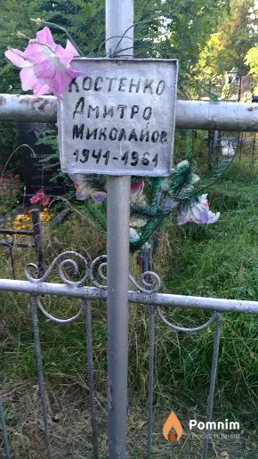 Костенко Дмитро Миколайович