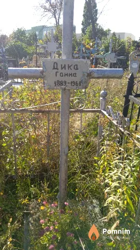 Дика Ганна