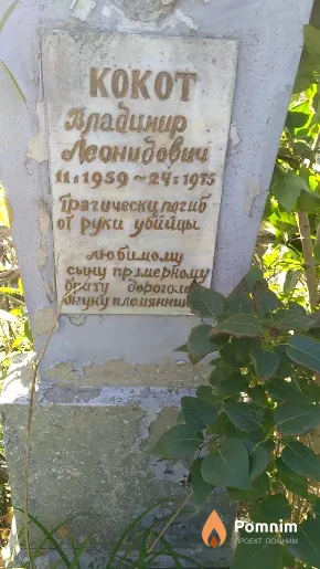 Кокот Владимир Леонидович