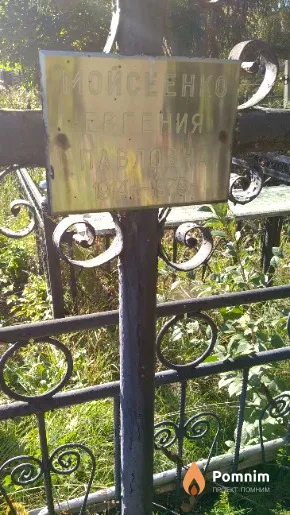 Моисеенко Евгения Павловна
