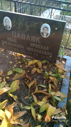 Павлюк Ярослав Николаевич