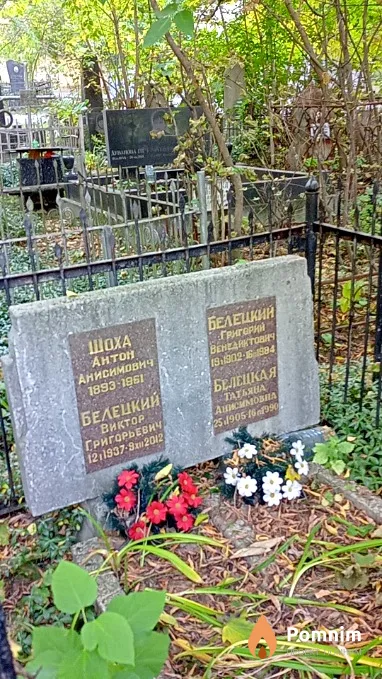 Шоха Антон Анисимович