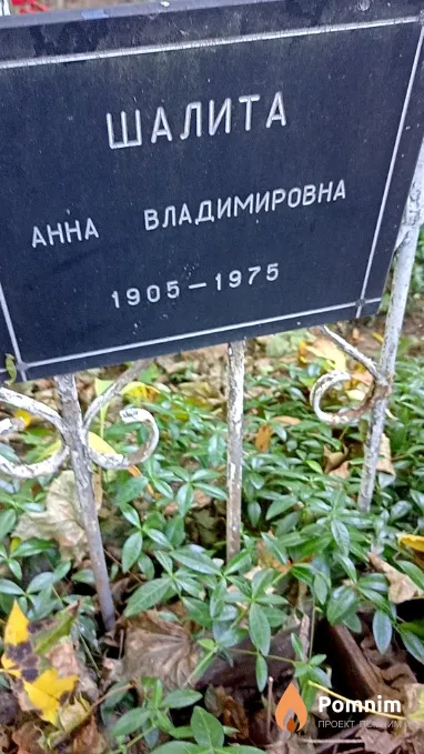 Шалита Анна Владимировна