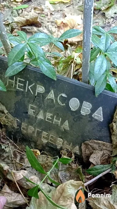 Некрасова Елена Сергеевна
