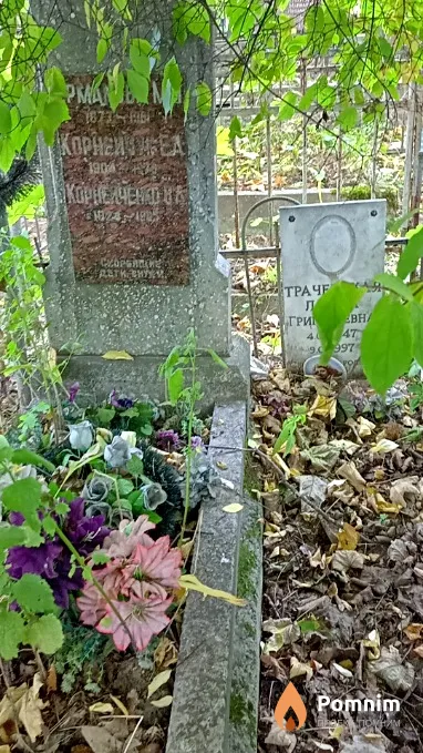 Корнейченко В А