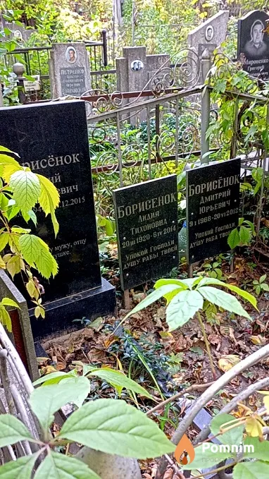 Борисёнок Дмитрий Юрьевич