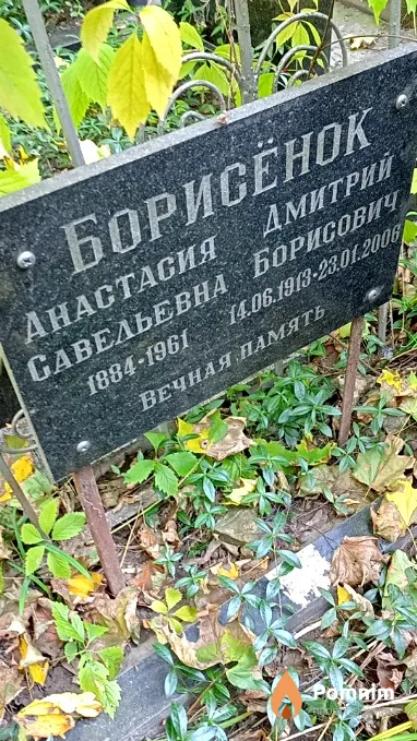 Борисёнок Анастасия Савельевна