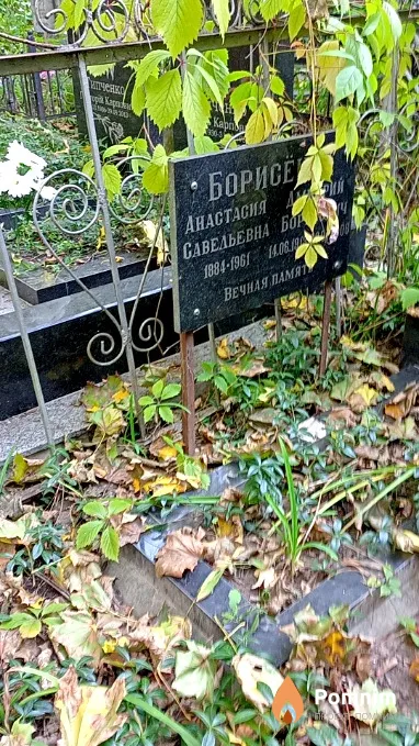 Борисёнок Дмитрий Борисович