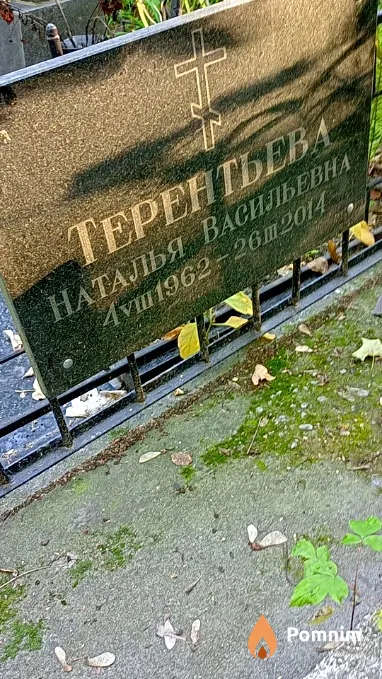Терентьева Наталья Васильевна