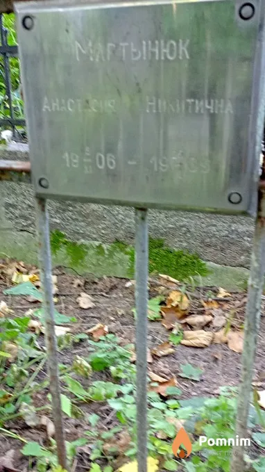 Мартынюк Анастасия Никитична