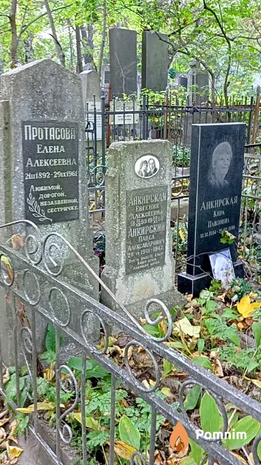 Анкирский Павел Александрович