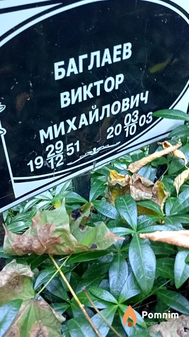 Баглаев Виктор Михайлович