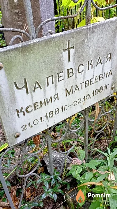 Чалевская Ксения Матвеевна