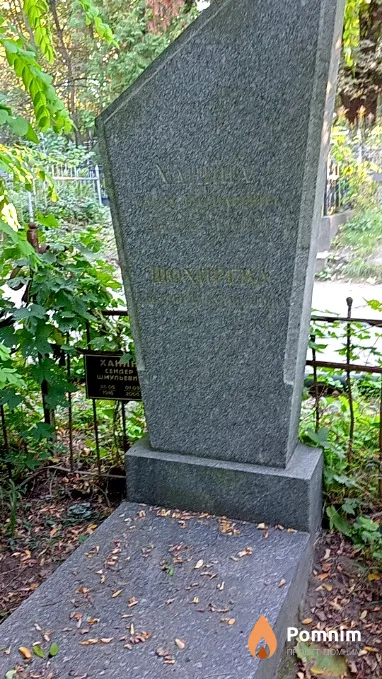 Ханин Сендер Шмульевич