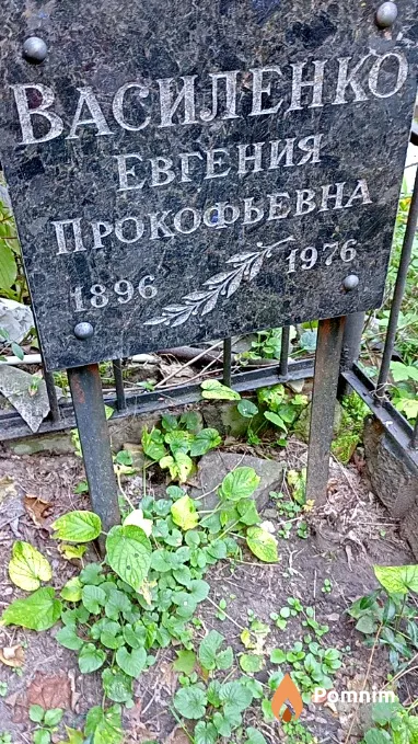 Василенко Евгения Прокофьевна