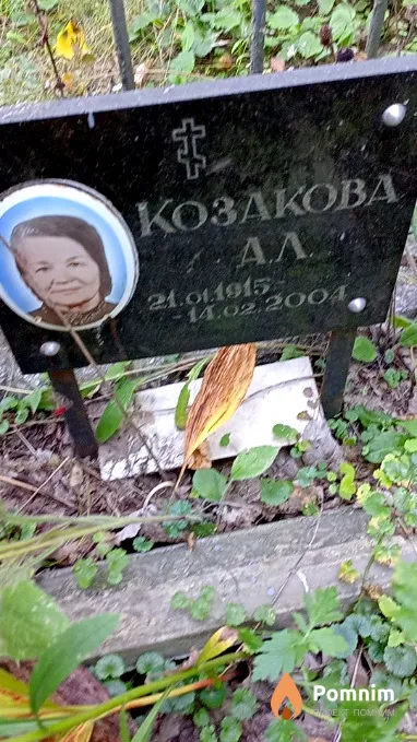 Козакова А Л
