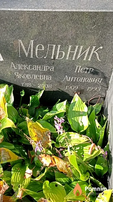 Мельник Александра Яковлевна