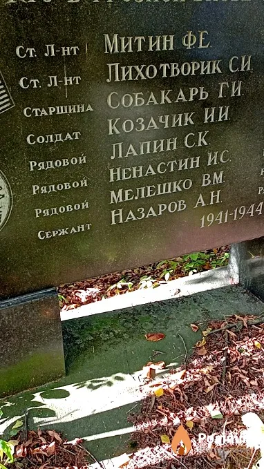 Козачник И И