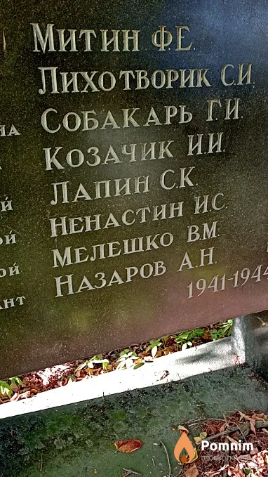Ненастин И С