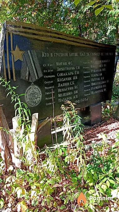 Мелешко В М