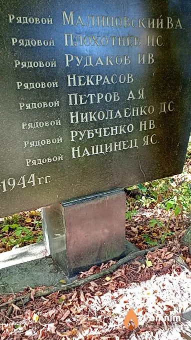 Николаенко Д С
