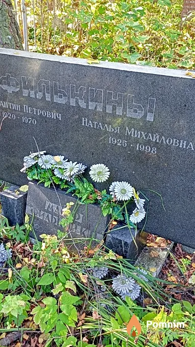 Филькина Наталья Михайловна