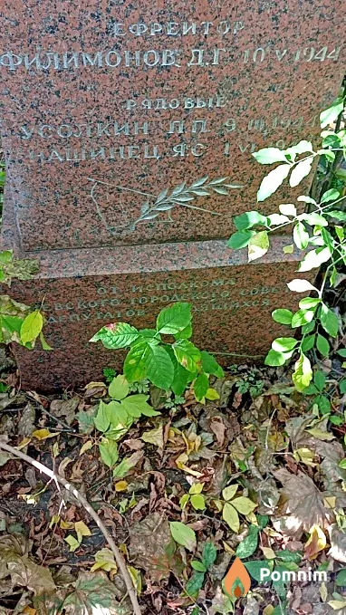 Филимонов Д Г