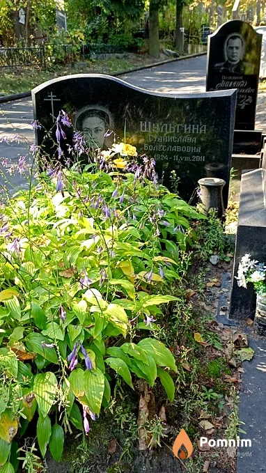 Шульгина Станислава Болеславовна