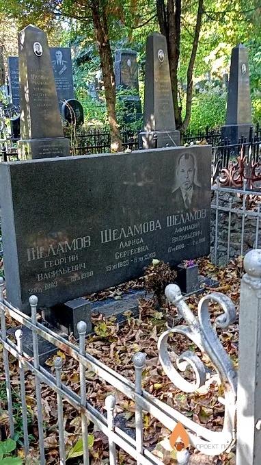 Шеламов Георгий Васильевич