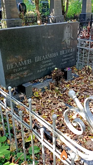 Шеламова Лариса Сергеевна