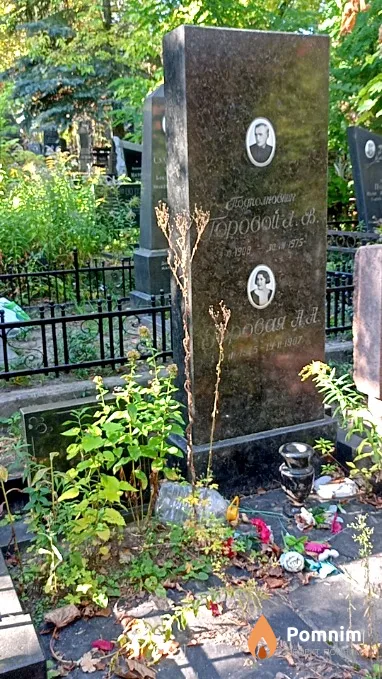 Горовой А В