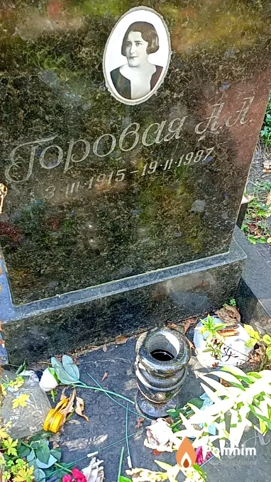 Горовая А А