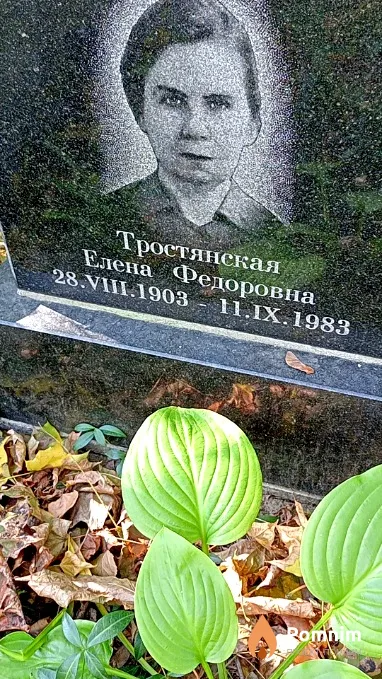 Тростянская Елена Федоровна