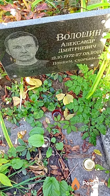 Волошин Александр Дмитриевич
