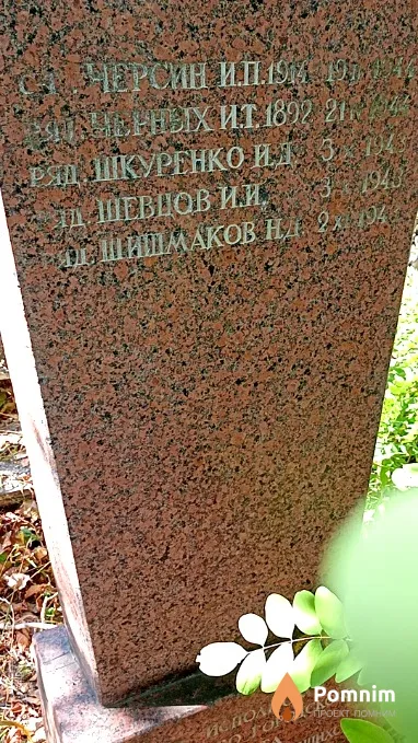 Шкуренко И Д
