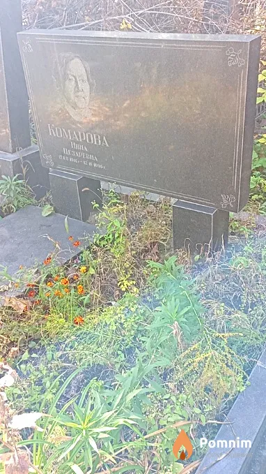 Комарова Нина Цезаревна