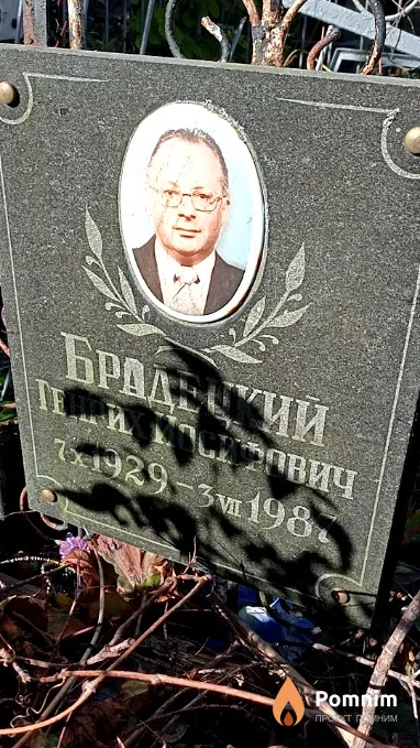Брадецкий Генрих Иосифович
