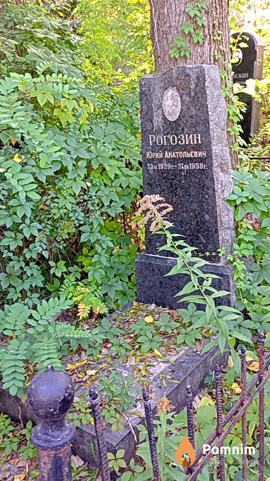 Рогозин Юрий Анатольевич