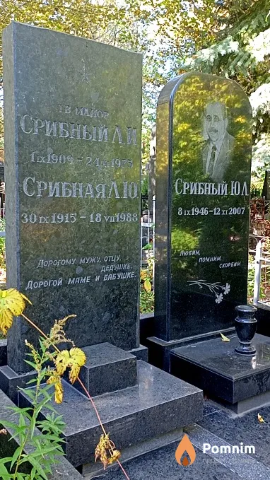 Срибный Л И
