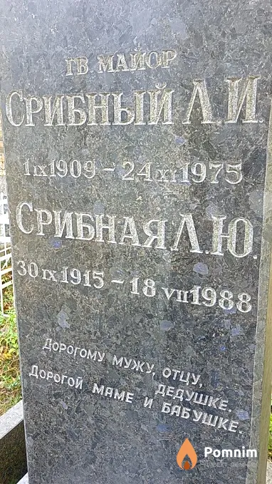 Срибная Л Ю