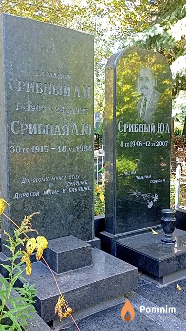 Срибный Ю Л