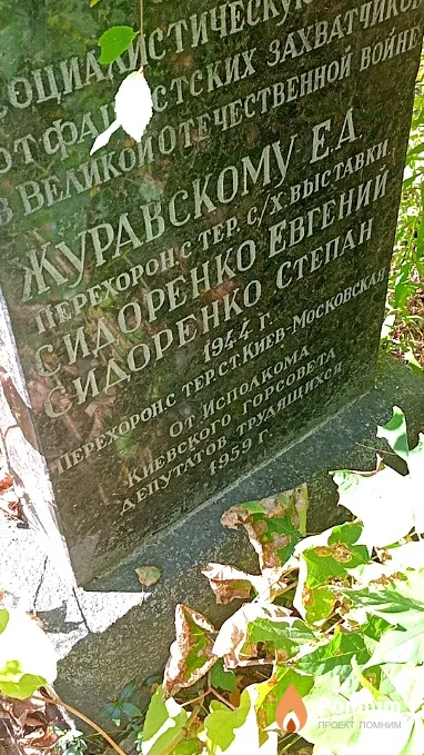 Сидоренко Степан