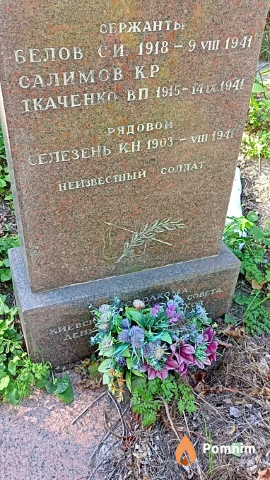 Ткаченко В П