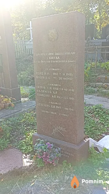 Селезень К Н